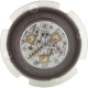 Pool/Spa Light, Pentair GloBrite, Color, 12v, 15W, 150ft Cord : 602056