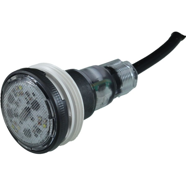 Pool Light, Pentair Microbrite, Color LED, 12vac, 100ft Cord, TG : 620425