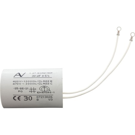 Capacitor For Emg 2/1 Motor (30Uf) : 319-0052