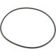 Pool Strainer Top Lid Gasket : 25300-000-030