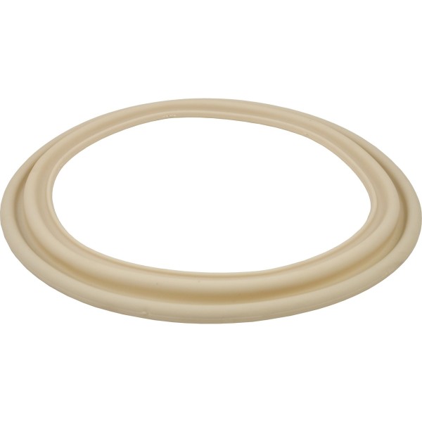 Gasket, Hayward Perflex EC50C, Tube Sheet : ECX5000G