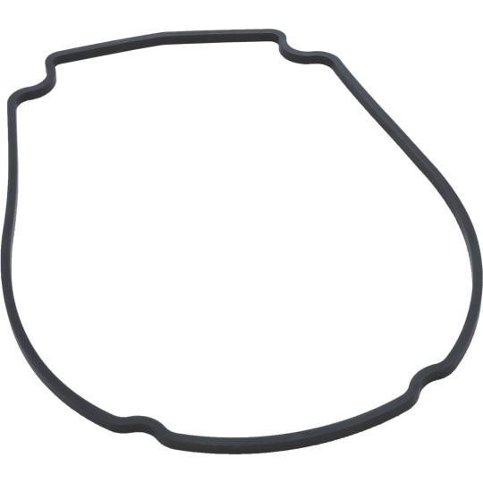 Gasket, Waterway Econo Flo/Champion, Faceplate : 806-1400