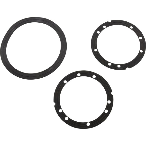 Gasket Set, Paramount SDX2, Seal Ring For Vinyl/Fiberglass : 005-252-0072-00