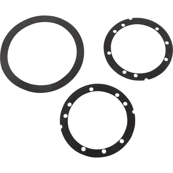 Gasket Set, Paramount SDX2, Seal Ring For Vinyl/Fiberglass : 005-252-0072-00