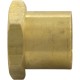 Insert Nut, Anthony Apollo DE Filter Shaft, 0.5", Brass : V34-121