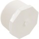 Plug, Lasco, 2-1/2" Male Pipe Thread : 450-025