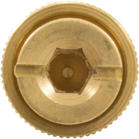 Brass Anchor, GLI, Safety Cover, 1.5"L, 3/4"Hole Size, 13/16"dia : 99-20-9100003