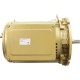 Motor, Pentair, 7.5hp, 208-230v, 1-Spd, 1 Phase, C-Series : 357204S