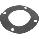 Gasket, Pentair C-Series, Flange : 070943