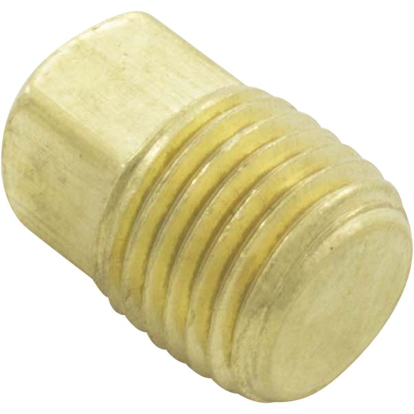 Drain Plug, Pentair C-Series, 1/4" : 071551