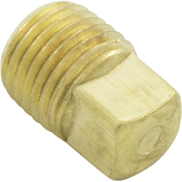 Drain Plug, Pentair C-Series, 1/4" : 071551