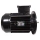 Motor, Hayward, 5.5 Horsepower, 1 Speed, HCP55 : HCXP55MOTOR