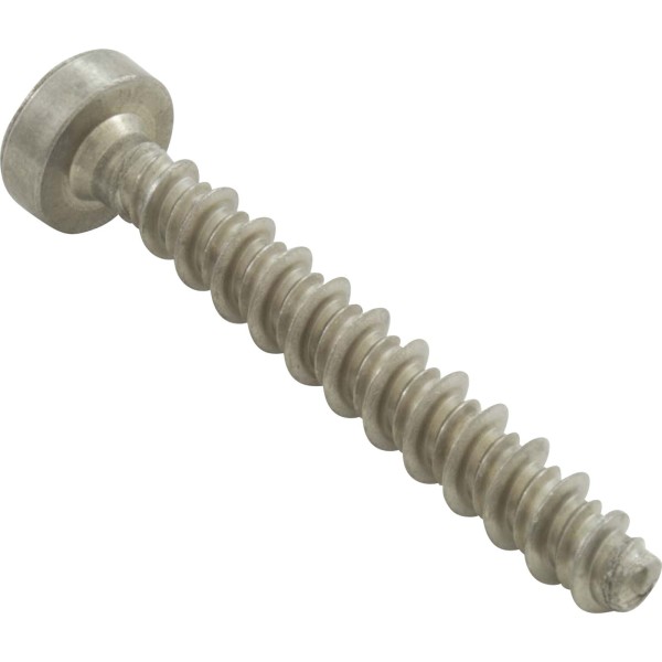 Screw, Speck 95 All Models/94, All Head, M7 x 48mm : 2921690002