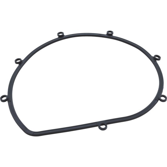 Gasket, Speck 21-80 All Models, Seal Plate : 2923141010