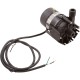 Pump, Circ, Laing E-10, 230v, 3/4"mpt, 4ft Bare Cord, OEM : 6050U0014