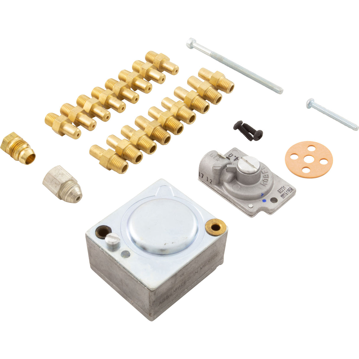 Convert Pro To Nat151-265-Kit : 004691F - Raypak - 004691F - PartsForSpas.com