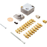 Convert Pro To Nat151-265-Kit : 004691F - Raypak - 004691F - PartsForSpas.com