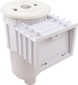 Skimmer Complete, U-3 Sta-Rite W/Float & Check Valve, 2" NPT : 08650-1403