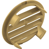 Zodiac Leaf-B-Gone Concrete Wall Fitting Grate, Gold : 1-1-174 - Zodiac - 738919023635 - PartsForSpas.com
