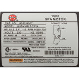 Pump, Circ, Gecko Aqua Flo CMHP, 1/15hp, 230v, 1-1/2", OEM, CE : 02093001-2010CE