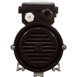 Pump, Bath, LX WCH, 5.0A, 115v, 1.5", w/Air Switch : WCH75