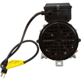 Pump, Bath, BWG Vico WOW, 0.5hp, 5.5A, 115V, w/Air Switch&Cord, OEM : 1050031