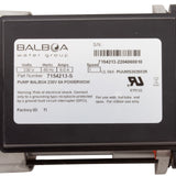 Pump, BWG Vico Ultimax GE, 3.0hp, 230v, 2"mbt, OEM : 7154213-S