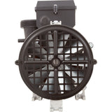 Pump, BWG Vico Ultimax GE, 3.0hp, 230v, 2"mbt, OEM : 7154213-S