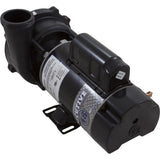 Pump, WW Exec, 1.5SPL, 115v, 2-Spd, 48fr, 2", OEM : 3420610-1A