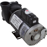 Pump, WW Exec, 4.0hp, 230v, 1-Spd, 56fr, 2-1/2" x 2", OEM : 3711621-13