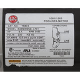 Pump, WW Exec, 4.0hp, 230v, 1-Spd, 56fr, 2-1/2" x 2", OEM : 3711621-13