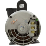 Pump, WW Exec, 3.0hp, 230v, 2-Spd, 56fr, 2-1/2" x 2", OEM : 3721221-13