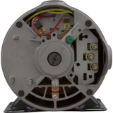 Pump, WW E-Series, 0.75hp, 115v, 2-Spd, 48fr, 1-1/2", OEM : 3420310-15