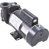 Pump, WW Hi-Flo, 3.0hp, 230v, 2-Spd, 48fr, 2", OEM : 3421221-10