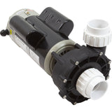 Pump, LX 48WUA, 2.0hp, 230v, 2-Spd, 48Fr, 2", SD, Bracketless : 48WUA2002C-II(NF)