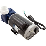 Pump, Aqua Flo Maelstrom, 3.0hp, 230v, 2-Spd, 56fr, 2", OEM : 0800-390000