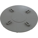 Diverter Plate, Dyna-Flo T/M Skim Filter : 519-2687