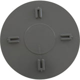 Diverter Plate, Dyna-Flo T/M Skim Filter : 519-2687