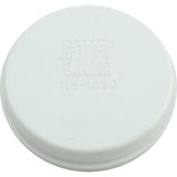 Bypass Plug, WW In-Line/Top Load/Top Mount/Front Access, 2" : 715-9900