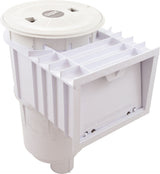 Skimmer Complete, U-3 Sta-Rite W/Float & Check Valve, 2" NPT : 08650-1403