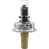 Pressure Switch, 3A, Pentair Max-E-Therm/MasterTemp, ASME : 473716Z