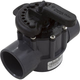 Diverter Valve, Pentair, 2-1/2" Spigot x 2" Slip, 2 Way : 263029