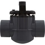 Diverter Valve, Pentair, 2-1/2" Spigot x 2" Slip, 2 Way : 263029