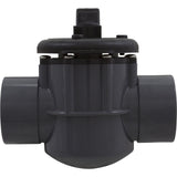 Diverter Valve, Pentair, 2-1/2" Spigot x 2" Slip, 2 Way : 263029