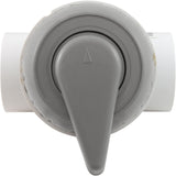 Diverter Valve, WW, 2", 2 Port, Top Mount, Notched, Gray : 600-3067