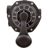 Multiport Valve, Raypak Protege, 6-Way, 1-1/2" : 018214F
