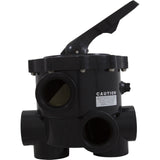 Multiport Valve, Astral, 2" Side-Mount, 6 Position : 28225
