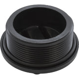 Plug, Praher ABS Side Mount Valves, 2"mpt, Black : E-19-S2B