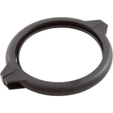 Locking Clamp, Raypak Protege RPSF : 018215F