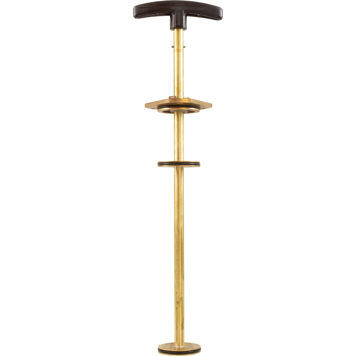 Piston Assembly, Anthony Push/Pull Valve, 2", Brass : V34-022